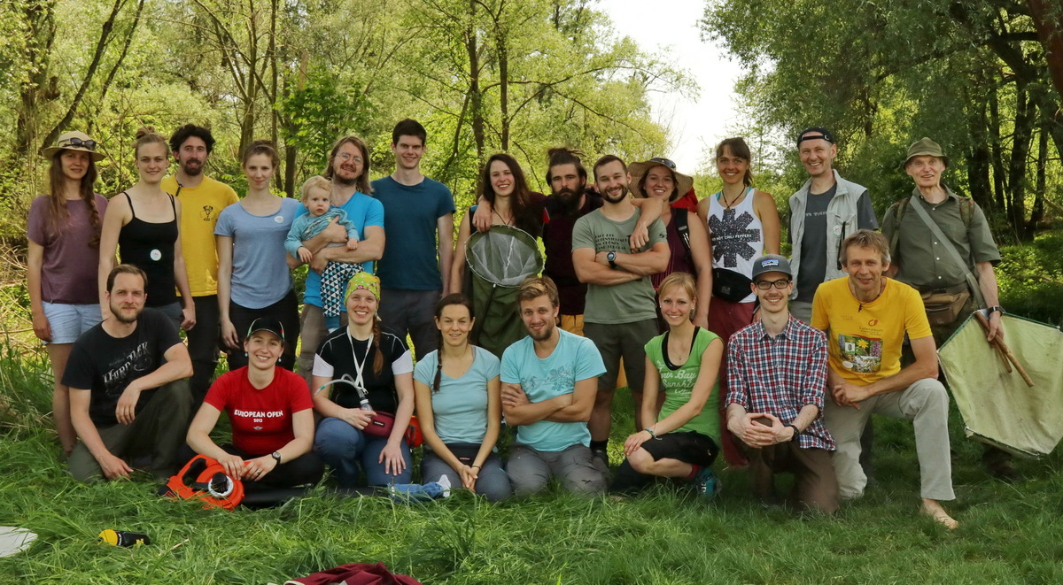 ÖEG-Insektencamp im Nationalpark Donauauen, 29.4.2018 (Foto: Christian Komposch)
