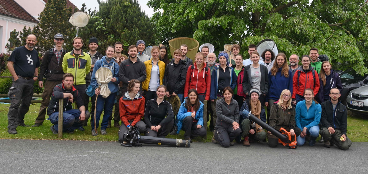 Gruppenfoto: ÖEG-Insektencamp in Güssing, Südburgenland, 16.-19.5.2019 (Foto: Werner Holzinger)