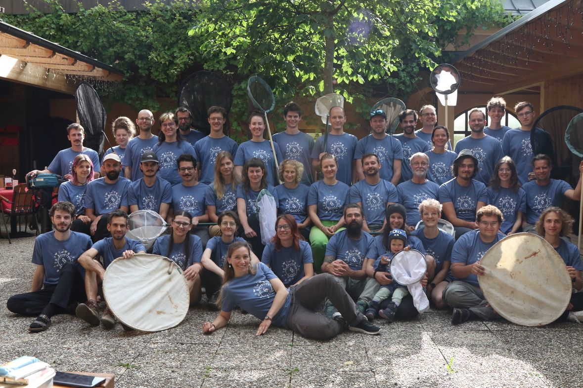 10 Jahre Insektencamp
